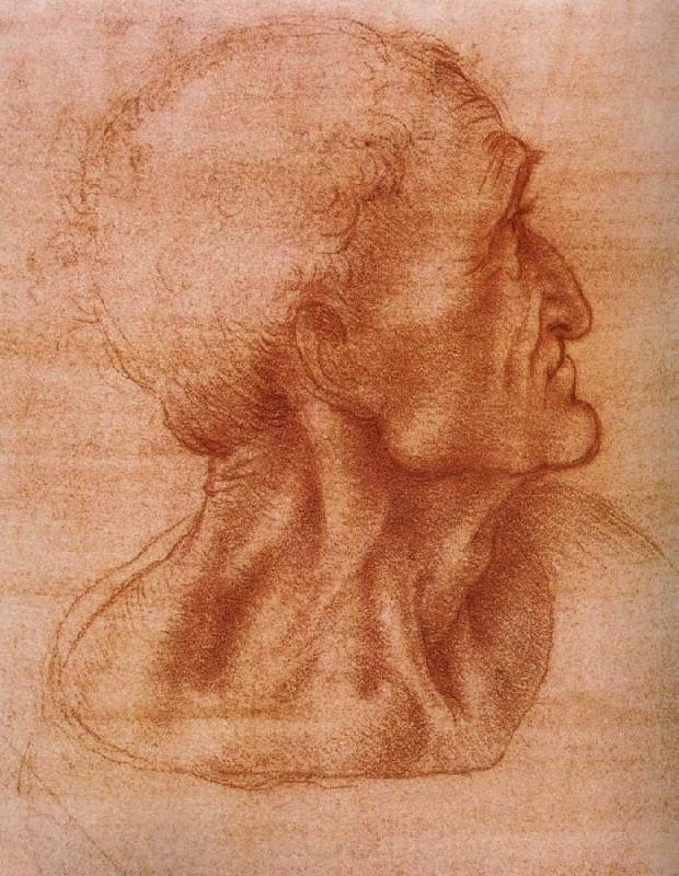 LEONARDO da Vinci Study fur the communion